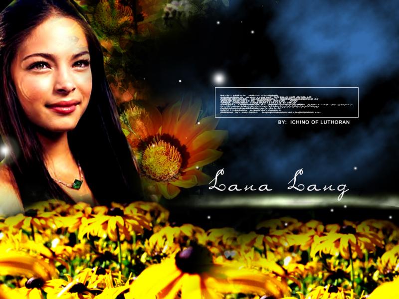 Wallpaper Kristin Kreuk Lana Lang Espace