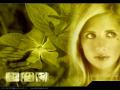 Wallpaper Sarah Michelle Gellar Portrait