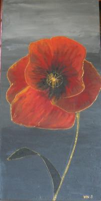 Coquelicot II