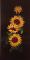 Tournesols