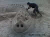 Kreativ Sand Sculptures album