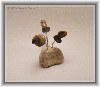 Les fleurs du Rhin album
