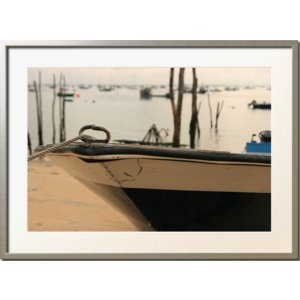 Galerie de photographies de Marc Roche album
