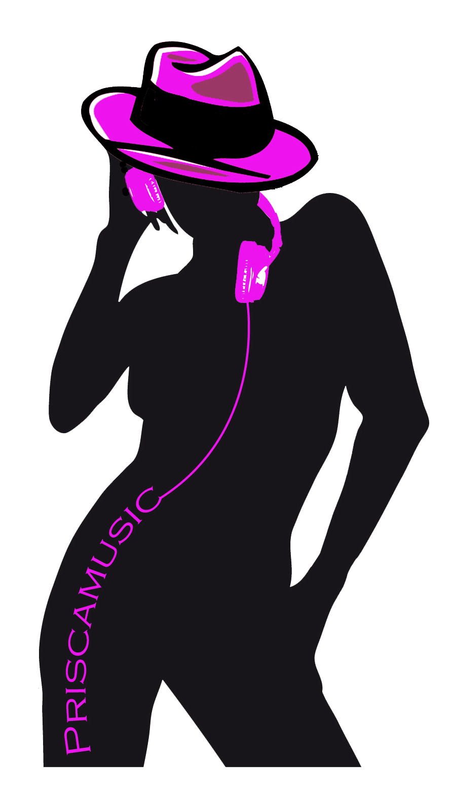 PRISCAMUSIC dj Animation Mariage Coordination Drme Ardche rhne-Alpes sono Priscamusic